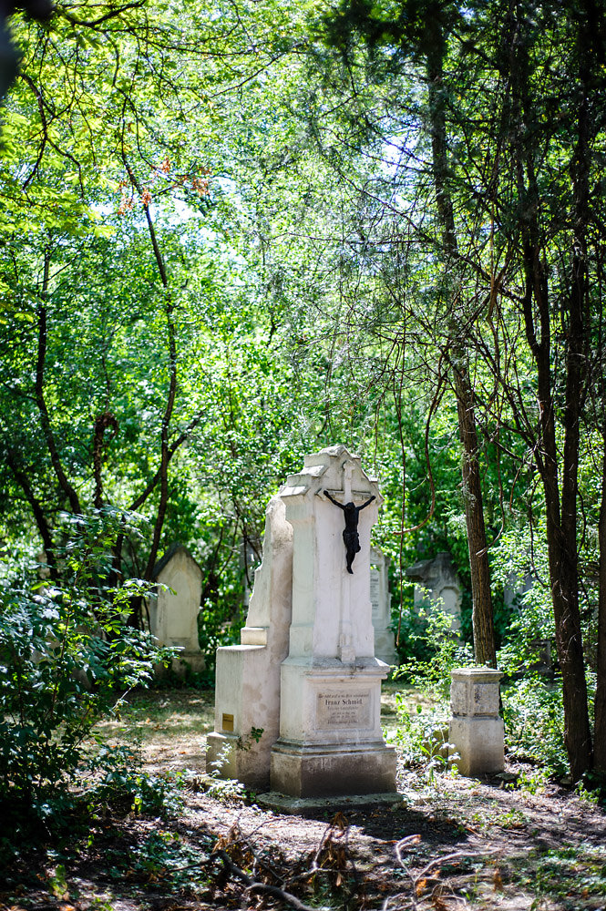 20140623-st-marx-friedhof-008.jpg