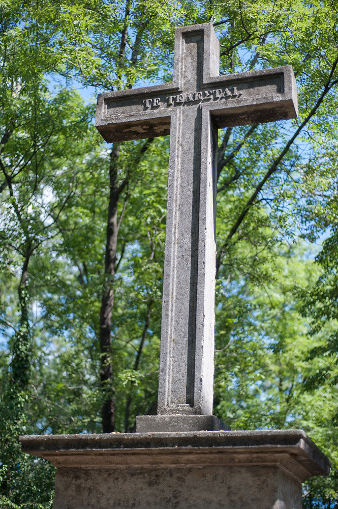 20140623-st-marx-friedhof-009.jpg