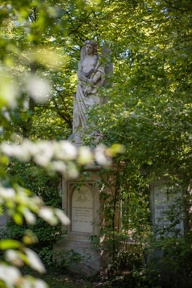 20140623-st-marx-friedhof-017.jpg